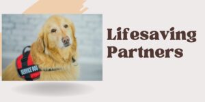 Service Animals: The Lifesaving Partners for People with Disabilities