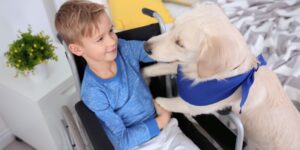 Service Animals: The Lifesaving Partners for People with Disabilities