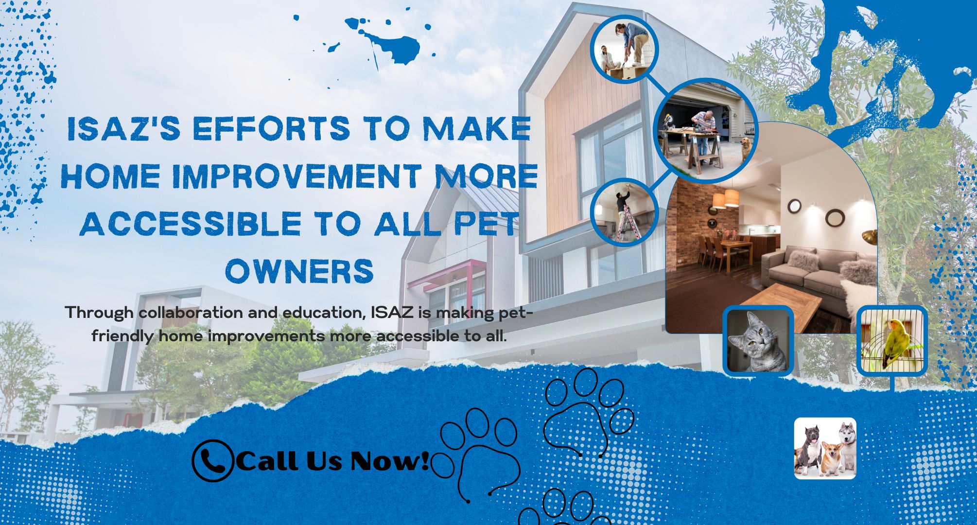 ISAZ's Efforts to Make Home Improvement More Accessible to All Pet Owners
